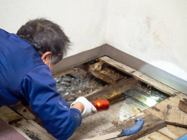 Best Post-Remediation Services in Cushing, OK