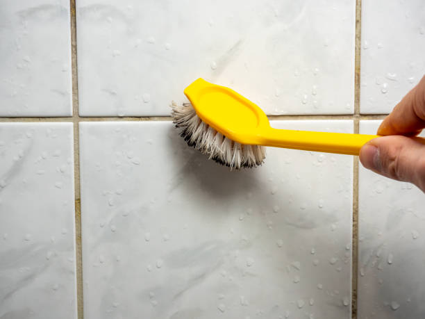 Best Residential Mold Remediation in Cushing, OK