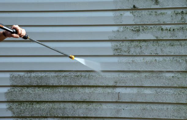 Best Mold Remediation for Specific Building Types in Cushing, OK