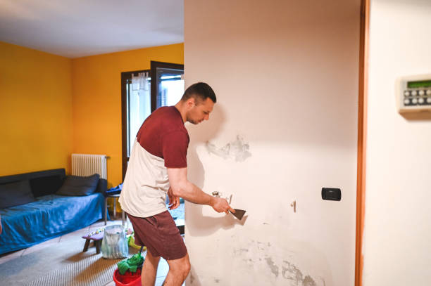 Best Mold Remediation for Schools in Cushing, OK