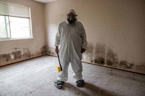 Best Residential Mold Remediation in Cushing, OK